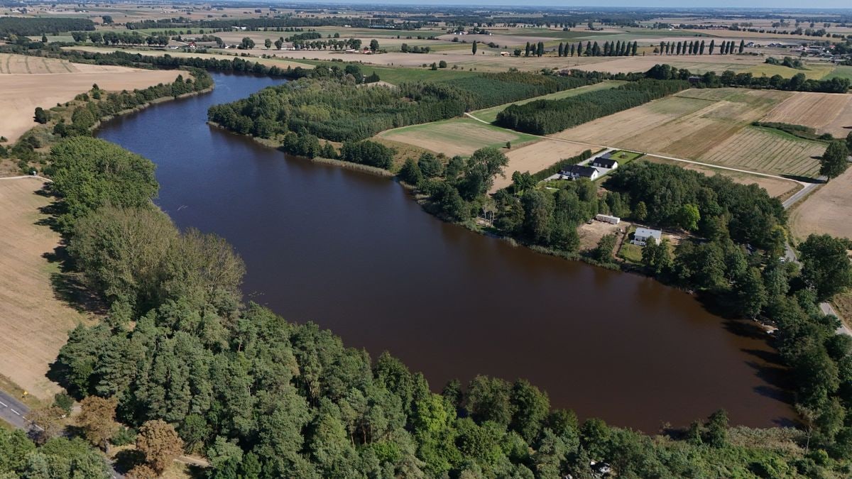 Pere tervise hoidmine igapäevaelus